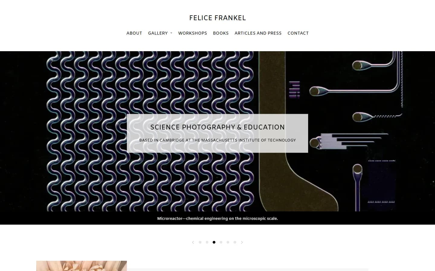 Felice Frankel website before the redesign