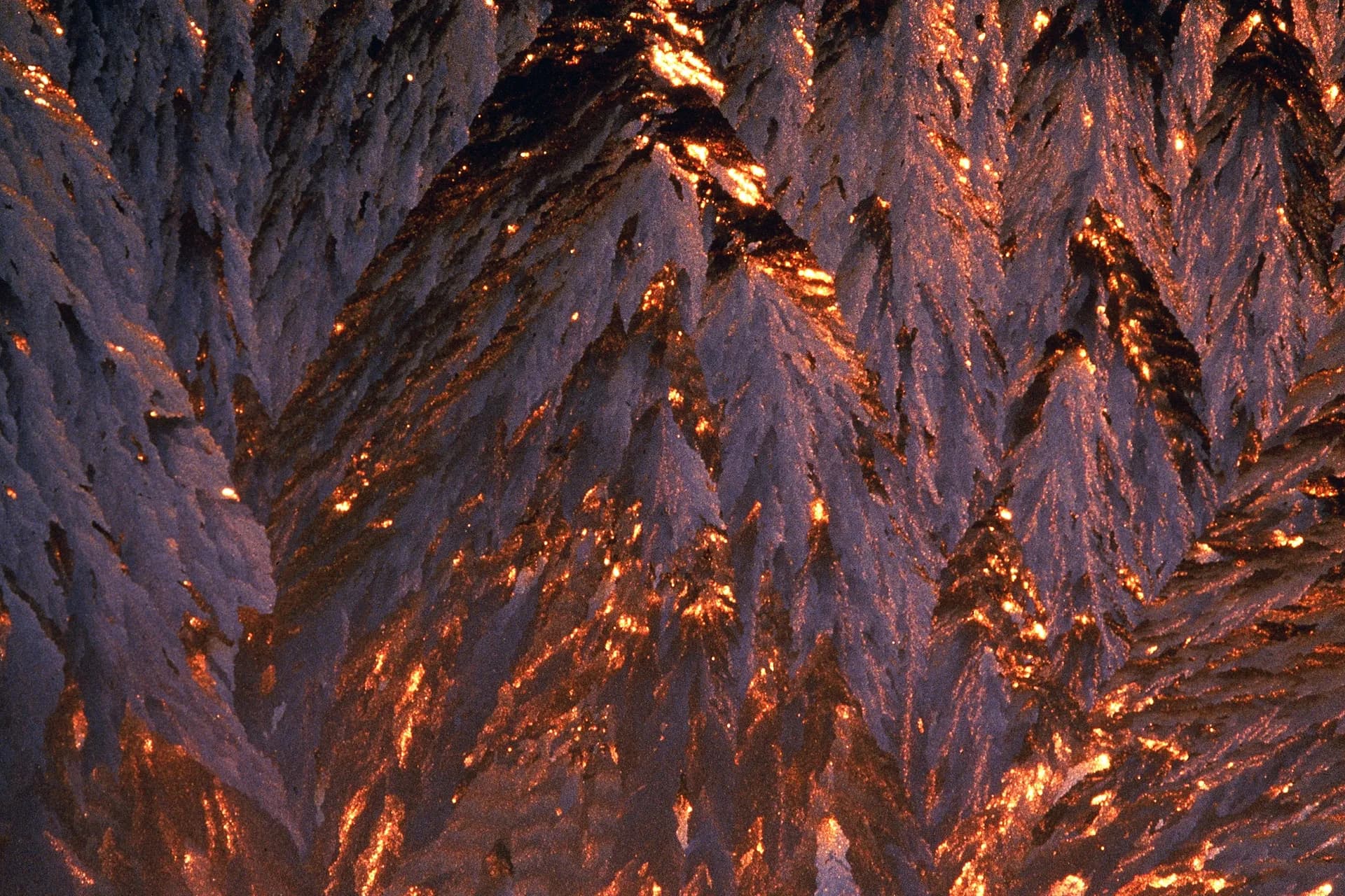 Felice Frankel close-up science photograph