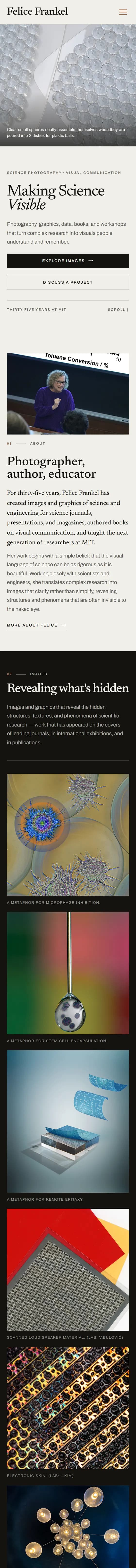 Felice Frankel website on mobile