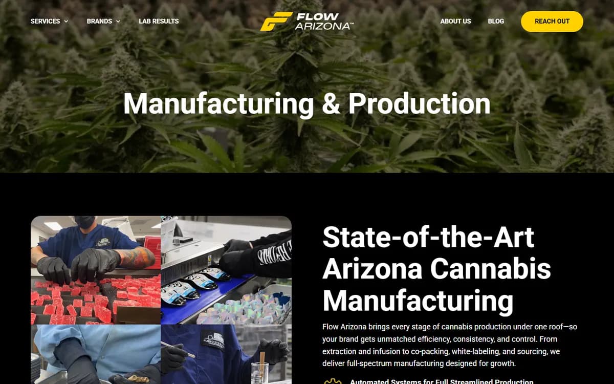Flow Arizona: Service pages for partner brands