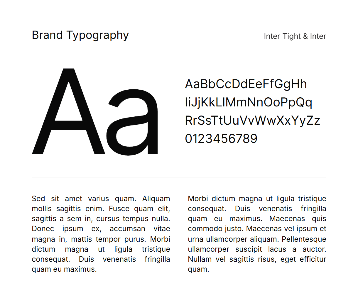 Navusoft brand typography