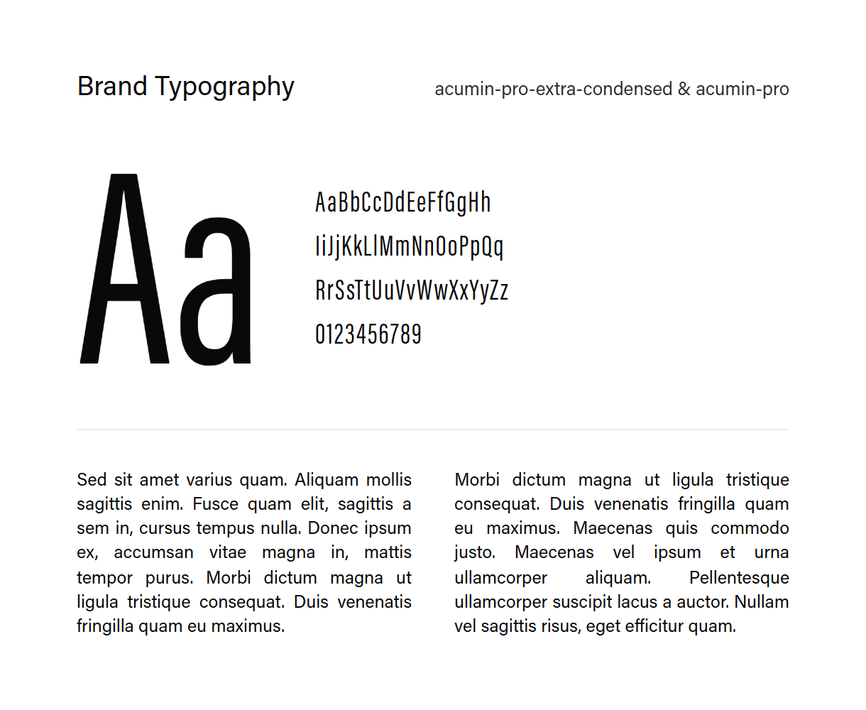 OpenET brand typography