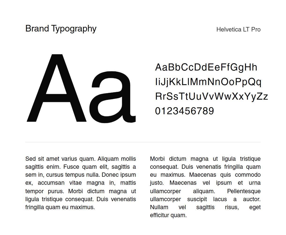 Summit Express brand typography