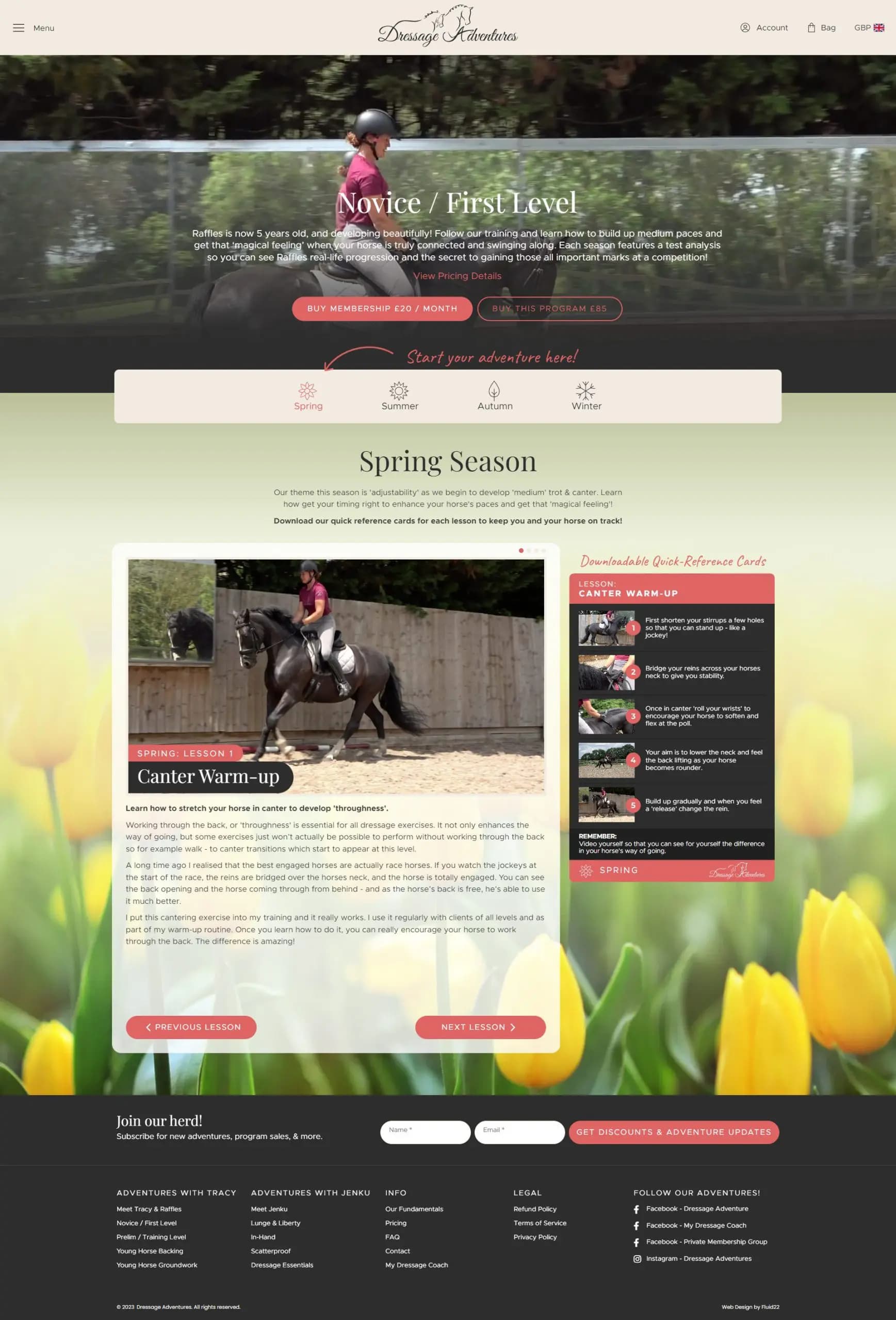 Dressage Adventures Website Screen Capture