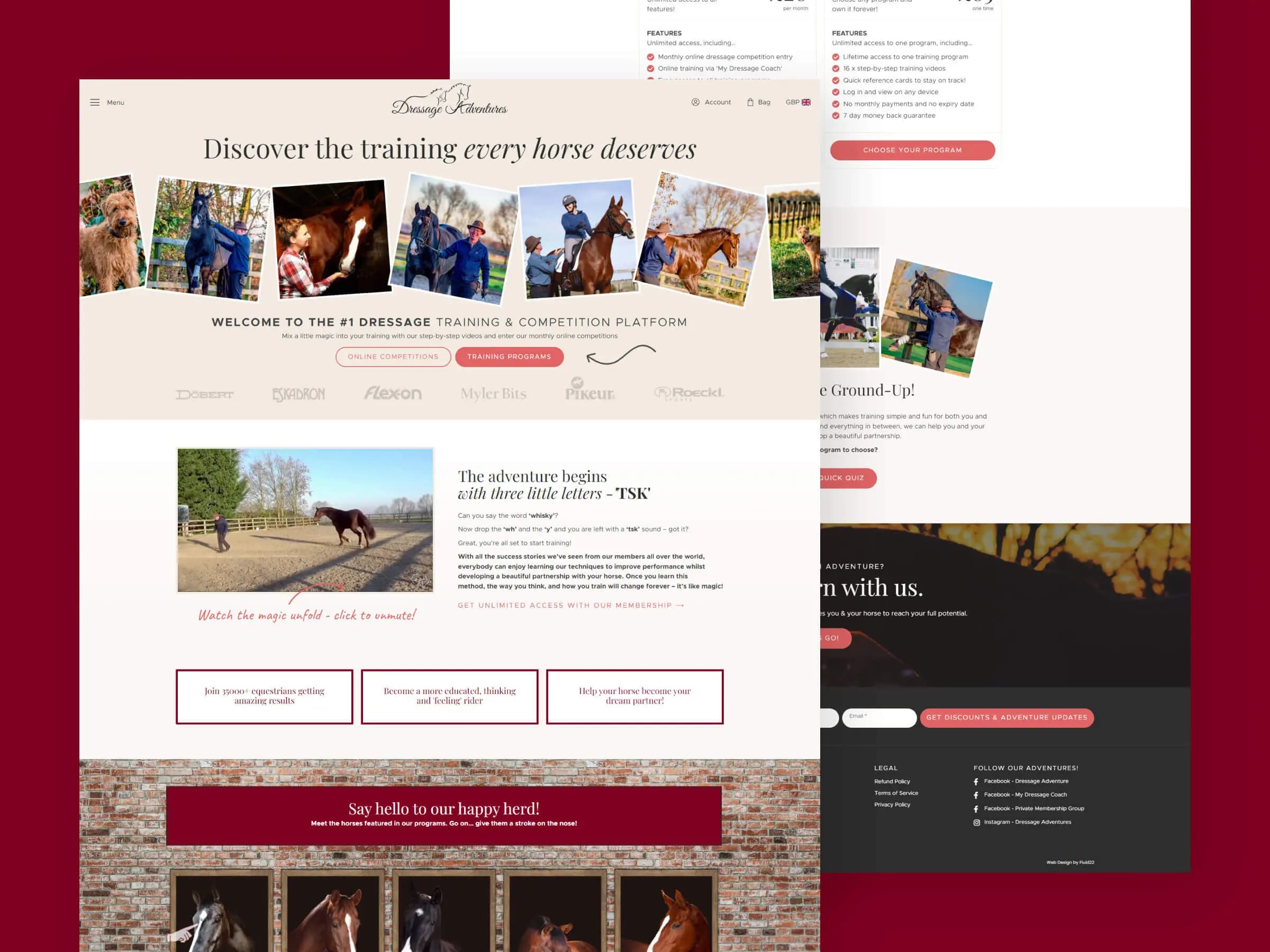Dressage Adventures Website screen shot