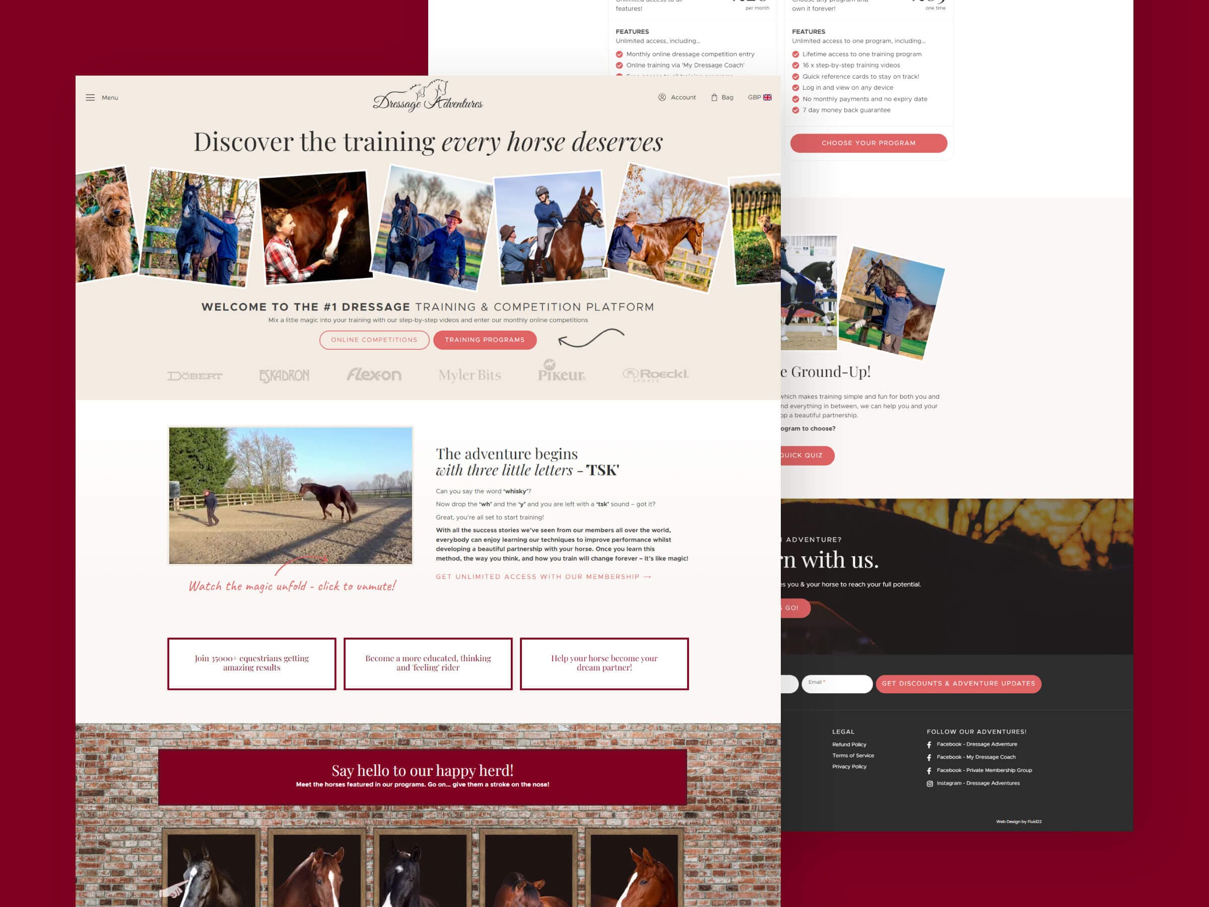 Dressage Adventures Website screen shot