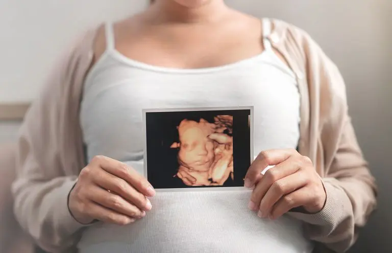 premiere-baby-imaging brand development website design premiere-baby-imaging brand development website design case study